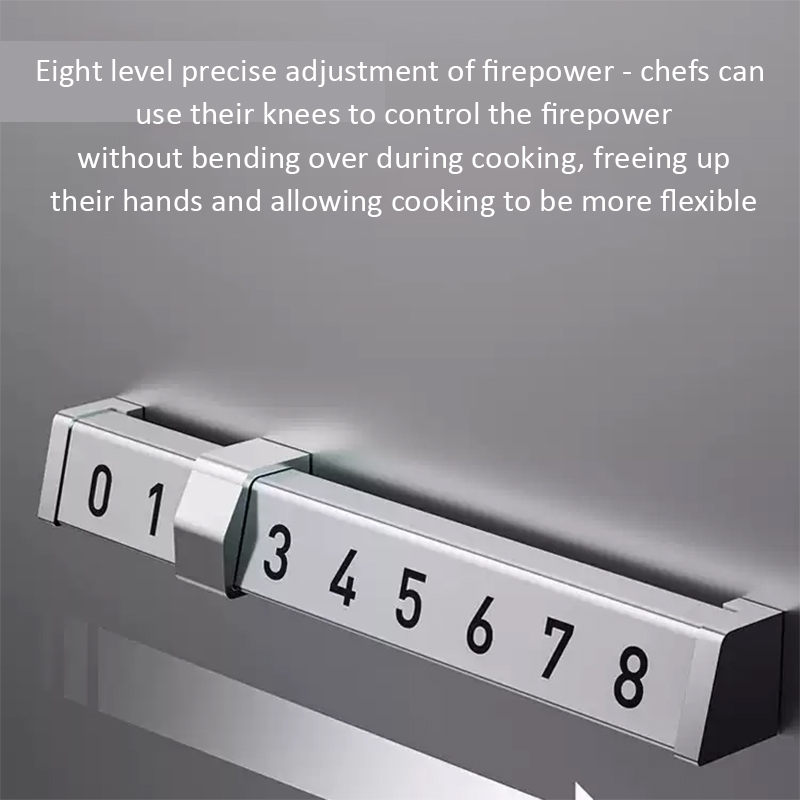 Cuisinière à induction commerc - Commercial Kitchen Induction avis et prix