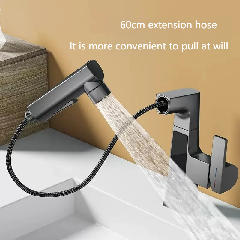 Robinet de traction à affichag - Commercial Kitchen Faucet avis et prix